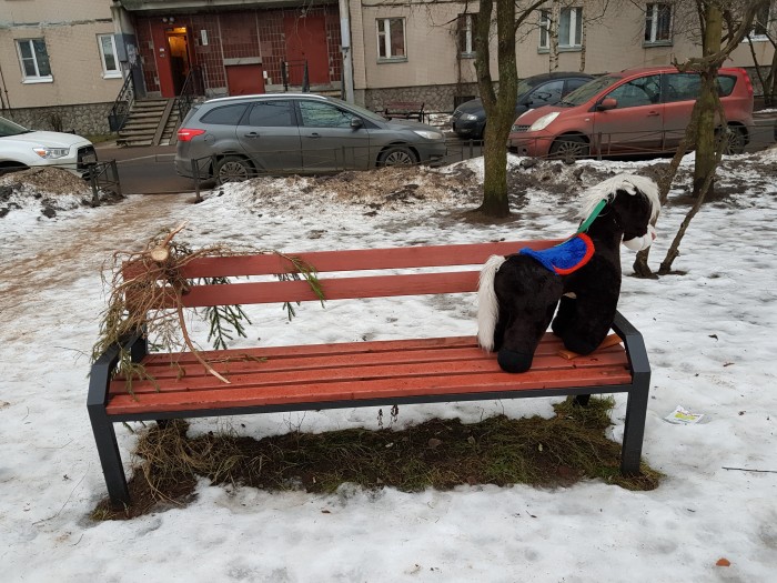Немного об одинокой лошадке на скамейке на детской площадке