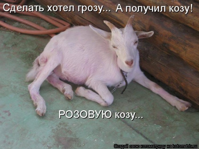Сделать хотел козу