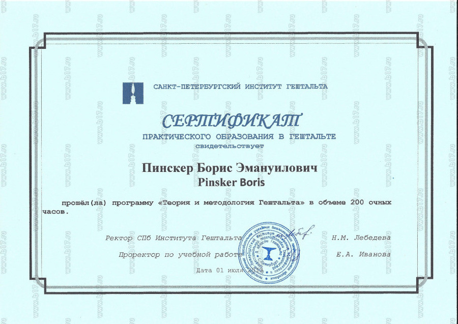 сертификат 2013.jpg